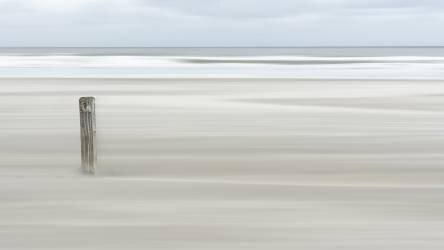 Steadvast (Greetje van Son) - Muzeo.com