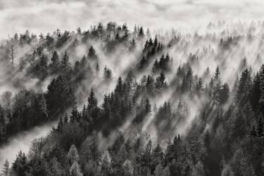 Sundance No.1 (Davorin Baloh ) - Muzeo.com