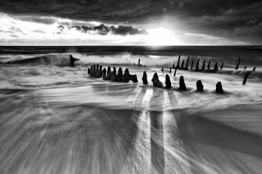 Sunlight (Mel Brackstone) - Muzeo.com