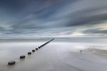 T (Rafal Nebelski) - Muzeo.com