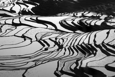 Terrace (Simoon) - Muzeo.com