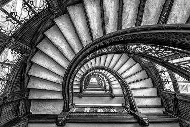 The Rookery (Yimei Sun) - Muzeo.com
