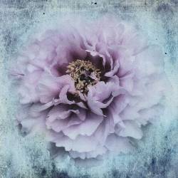 The season I love (Stefan Eisele) - Muzeo.com