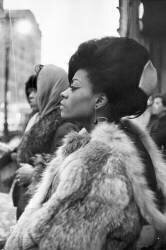 The Supremes (Don Paulsen) - Muzeo.com