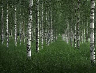 The tunnel (Christian Lindsten) - Muzeo.com