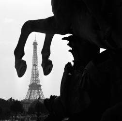 Tour Eiffel (Paul Almasy) - Muzeo.com