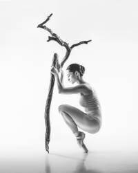 Tree (Łukasz Kozłowski) - Muzeo.com