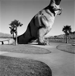 T-Rex (Lee Rich) - Muzeo.com