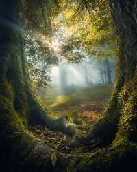 Deux frères (Armin Ramezanzad) - Muzeo.com