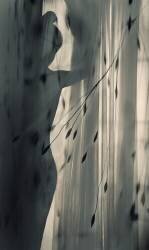 Uncertain (Sahar Karami) - Muzeo.com