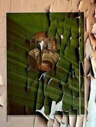 Undefined (Eduardo Llerandi) - Muzeo.com