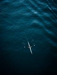 Untitled (Inge Schuster) - Muzeo.com