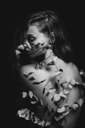 Untitled (Artem Vasilenko) - Muzeo.com