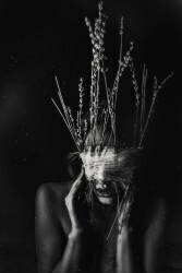 Untitled (Bogdan Bouşcă) - Muzeo.com