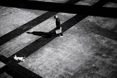 Untitled (Ali Ayer) - Muzeo.com