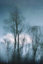 Untitled (Pia Mihailowitsch) - Muzeo.com