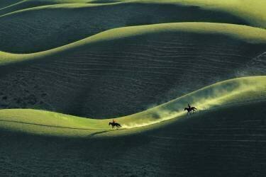 Untitled (UU) - Muzeo.com