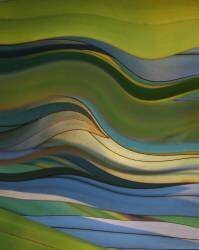 Untitled (Robin Wechsler) - Muzeo.com