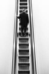 Vie calme (Kentaro Watanabe) - Muzeo.com