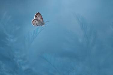 Waiting (Edy Pamungkas) - Muzeo.com