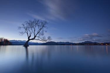 Wanaka Twilight (Yan Zhang) - Muzeo.com