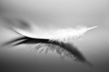 White (Olinda Coutinho ) - Muzeo.com