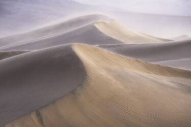 Wind (Inigo Cia) - Muzeo.com