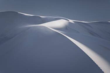 Windswept (Richard Vandewalle) - Muzeo.com