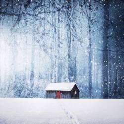Winter (Bess Hamiti) - Muzeo.com
