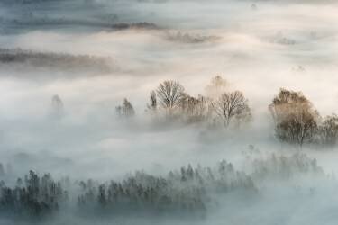 Winter fog (Marco Galimberti) - Muzeo.com