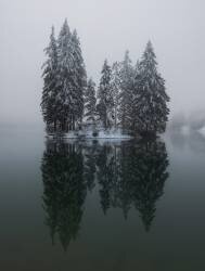 Winter reflection (Ales Krivec) - Muzeo.com
