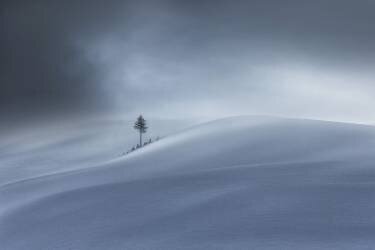 Wintertime (Uschi Hermann) - Muzeo.com