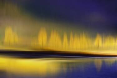 Yellow night (Heidi Westum) - Muzeo.com