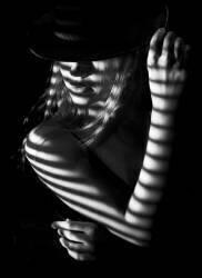 Zebra Lounge (Sebastian Kisworo) - Muzeo.com