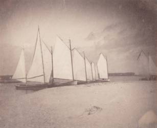 Voiliers sur les rives du New Jersey (Thomas Eakins) - Muzeo.com