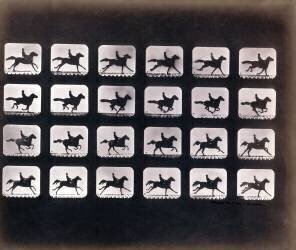Running (Eadweard Muybridge) - Muzeo.com