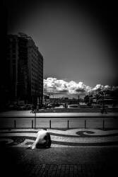 Eglise Nº3 (Guilherme Pontes) - Muzeo.com