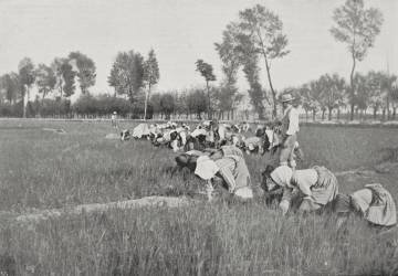 Mondines (anonyme) - Muzeo.com