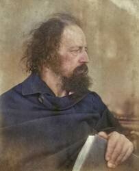 Alfred Tennyson (Julia Margaret Cameron) - Muzeo.com