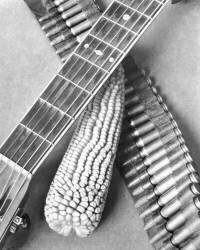 Mexican Revolution (Tina Modotti) - Muzeo.com