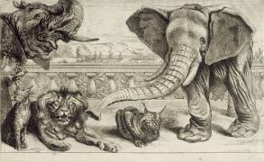 Animaux divers (Pieter Boel) - Muzeo.com