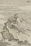 Blaireau (Hokusai) - Muzeo.com