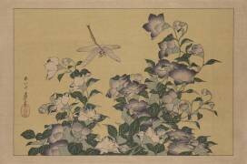 Campanule et libellule (Hokusai) - Muzeo.com
