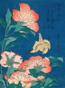Canari et pivoines (Hokusai) - Muzeo.com