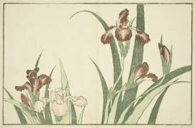 Iris (Hokusai) - Muzeo.com