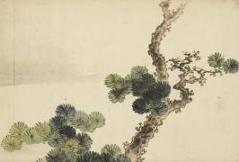 Rameau de pin (Hokusai) - Muzeo.com