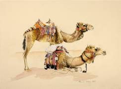 Chameaux de Petra (Alison Cooper) - Muzeo.com