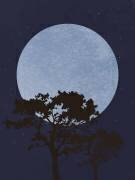 Dark Night (1x Studio) - Muzeo.com