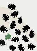 Monstera (1x Studio) - Muzeo.com