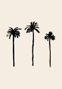 Palm Trees (1x Studio) - Muzeo.com